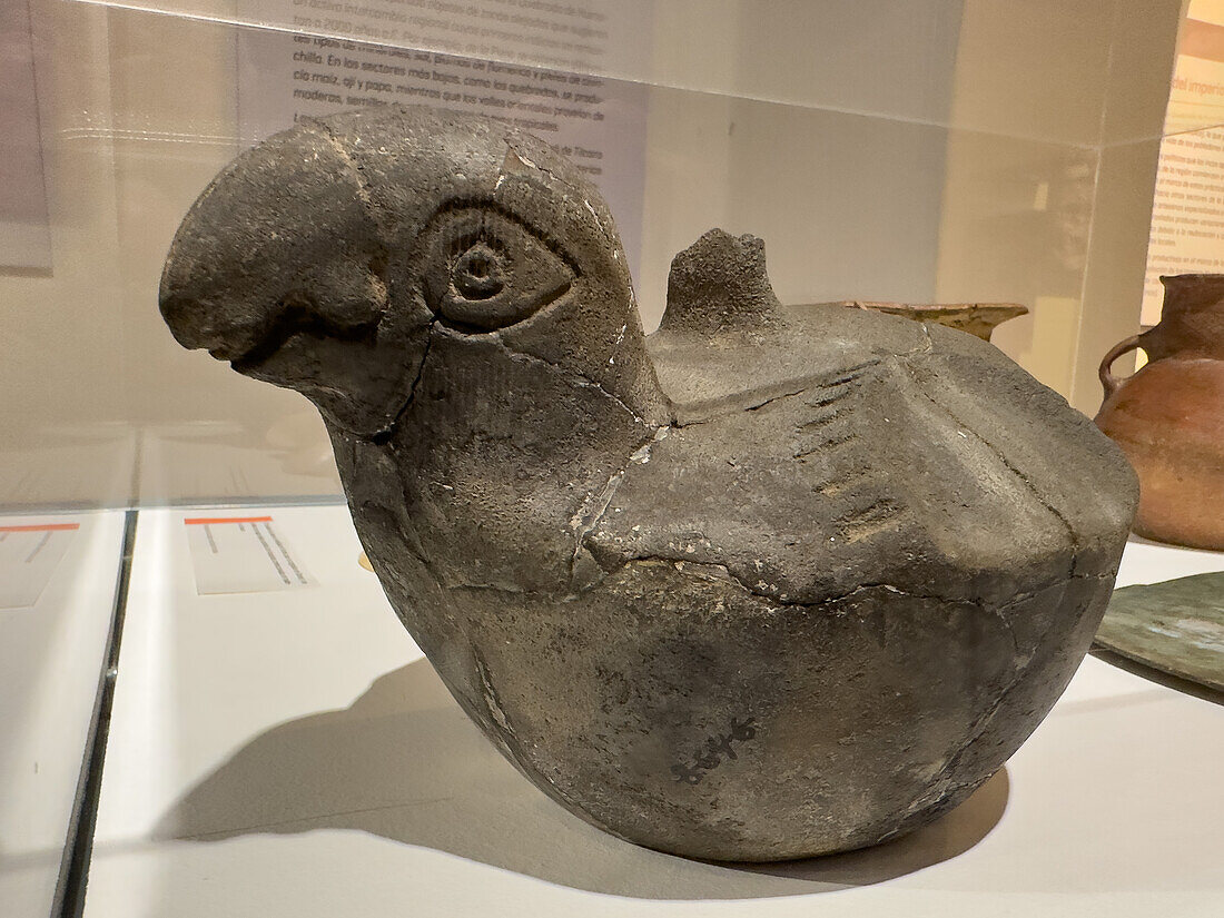 Pre-Hispanic parrot-shaped pot from the Tilcara pucará. Dr. Eduardo Casanova Archeology Museum, Tilcara, Argentina.