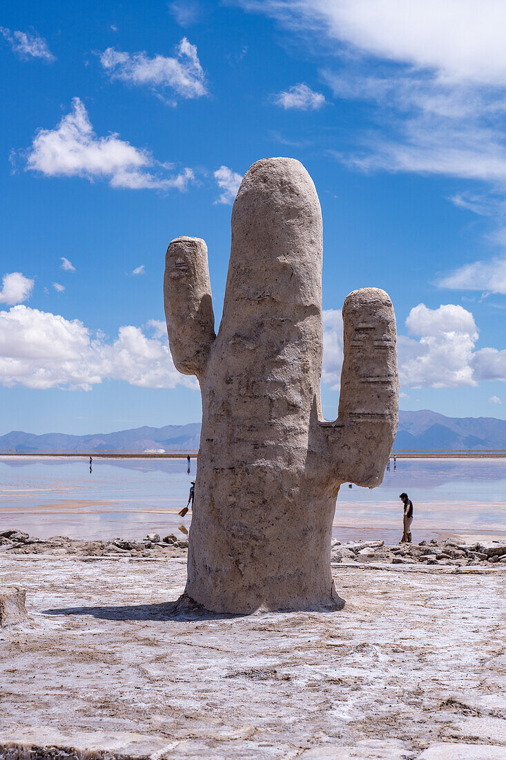 Die Statue eines Kardonkaktus, der in den Salinen von Salinas Grandes auf dem Altiplano im Nordwesten Argentiniens aus Salz geschnitzt wurde