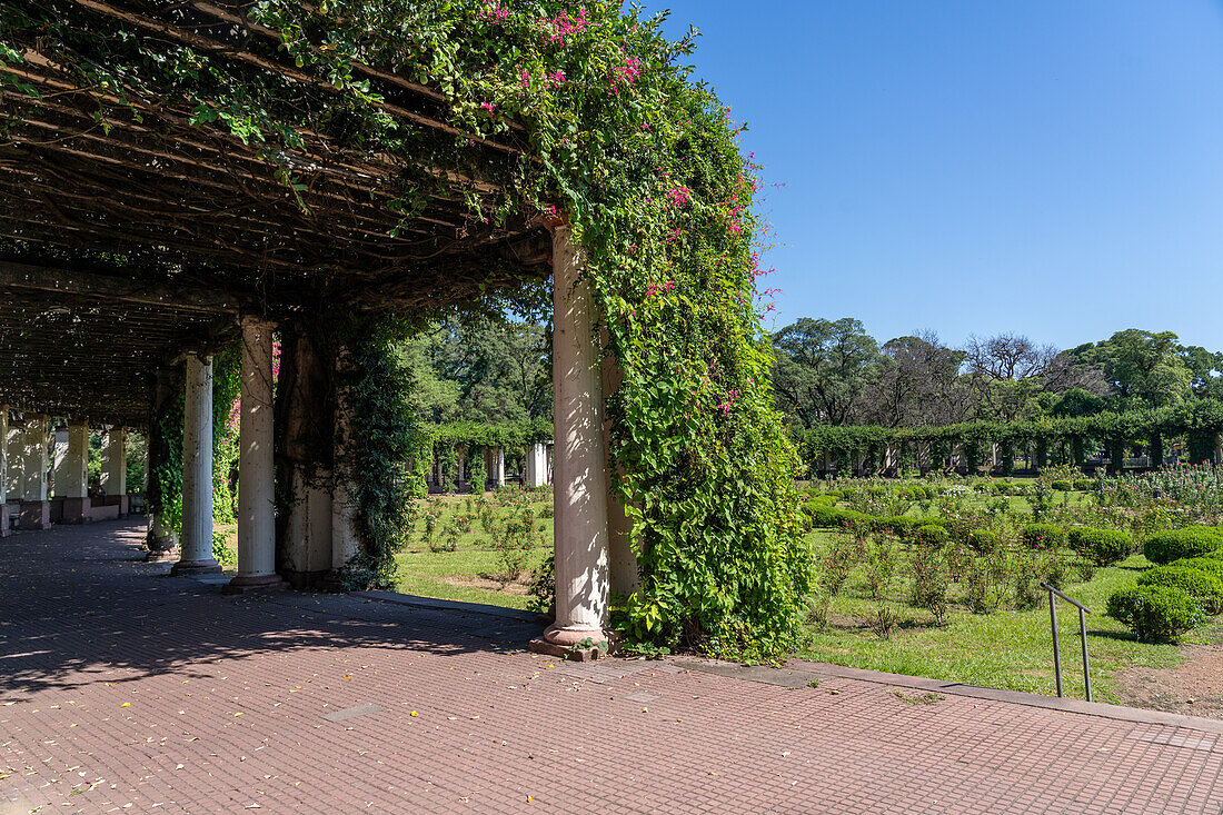 El Rosedal oder Rosengarten im Park des 9. Juli in San MIguel de Tucumán, Argentinien