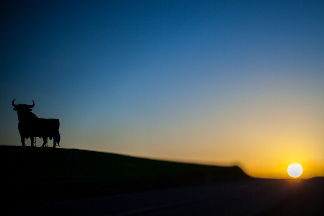 Tilt-shift lens photo of the Osborne Bull silhouette against a vibrant sunset in Seville, Spain. Peaceful and iconic scene.