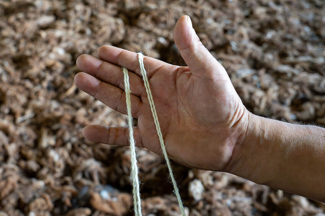 A worker runs llama wool yarn through his fingers at Hilandería Warmi, a weaving mill in Palpalá, Argentina. Washed llama wool is drying on the floor.