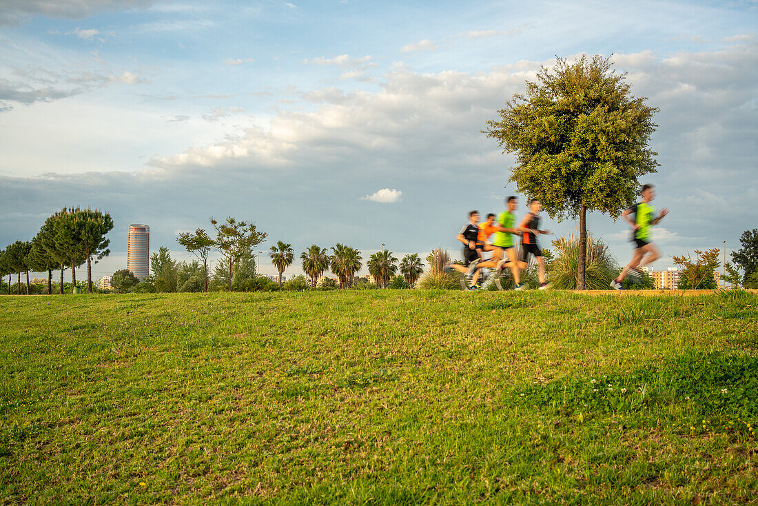 Group of runners exercising in Parque Vega de Triana, Sevilla, with lush greenery and Torre Sevilla in the background. Captures an active lifestyle in a beautiful park setting.