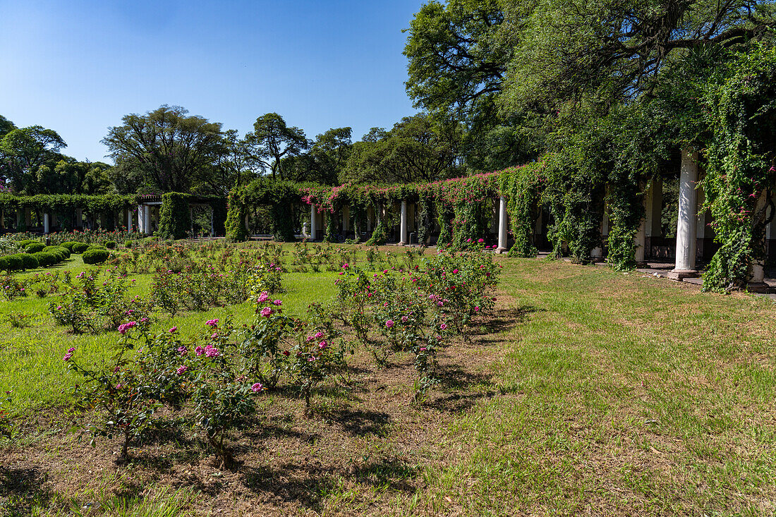 El Rosedal oder Rosengarten im Park des 9. Juli in San MIguel de Tucumán, Argentinien