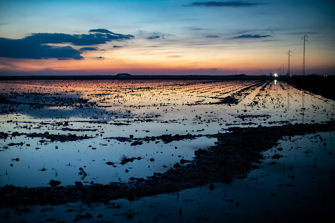 Scenic view of winter flooded fields in Isla Mayor, Sevilla, Spain, creating a picturesque landscape ideal for rice cultivation at sunset.