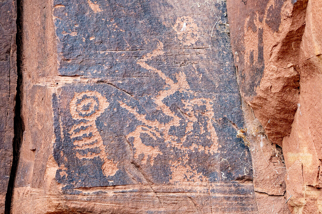 A pre-Hispanic Native American rock art or petroglyph panel in Daddy's Canyon, a tributary of Nine Mile Canyon, Utah.