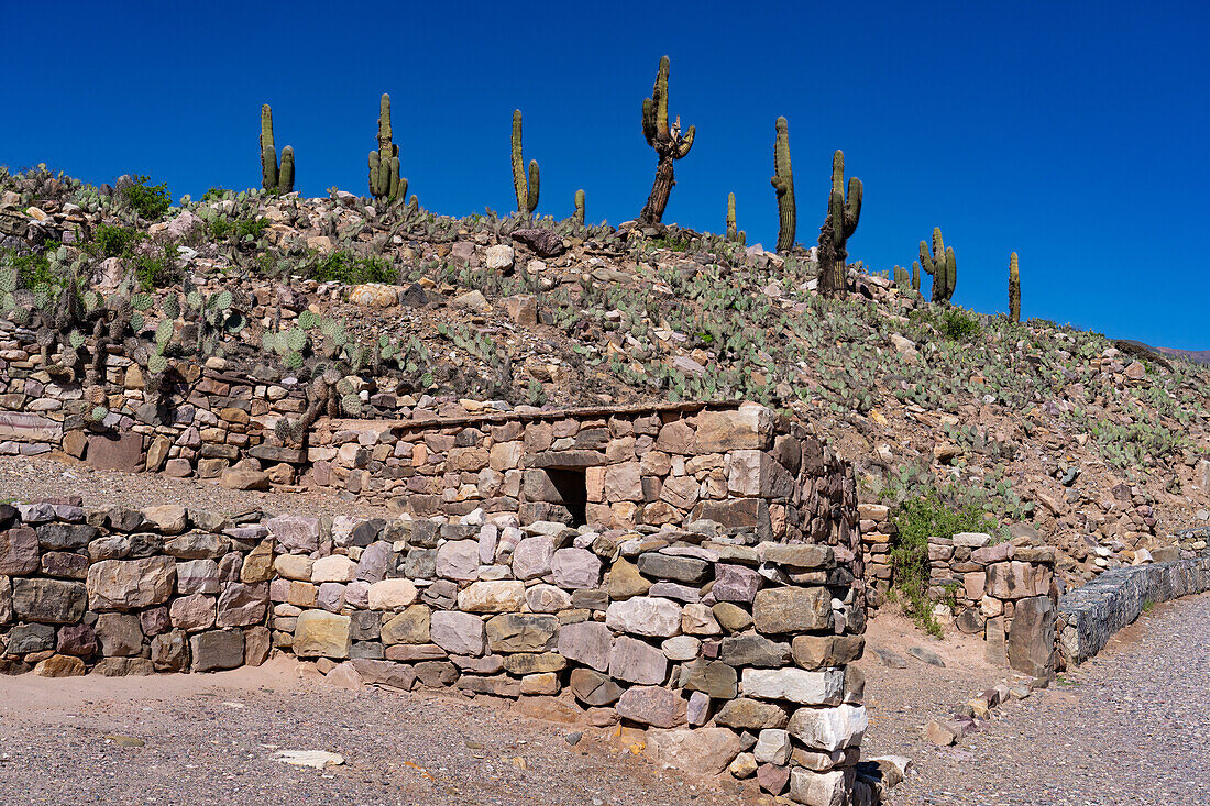 Partially reconstructed ruins in the Pucara of Tilcara, a pre-Hispanic archeological site near Tilcara, Humahuaca Valley, Argentina.