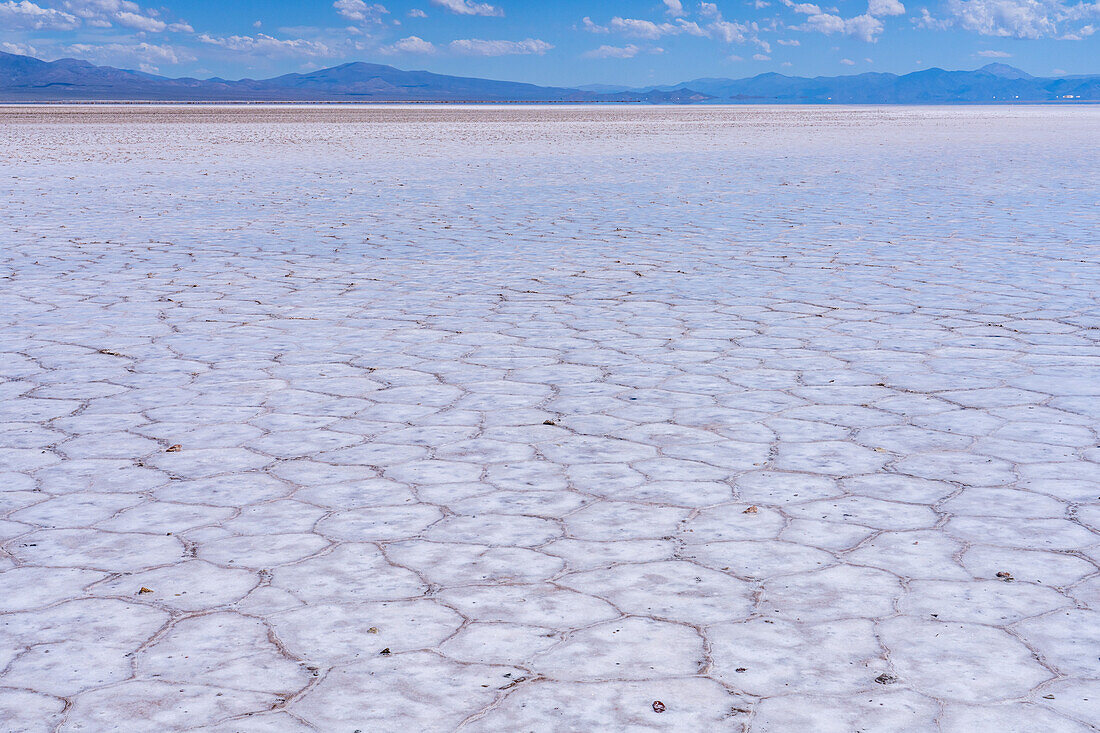 Polygon shapes on the salt flats of Salinas Grandes in northwest Argentina.