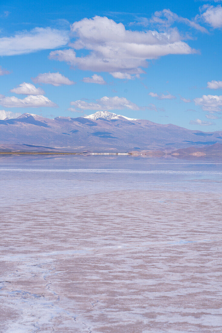 Vieleckige Formen auf den Salinen von Salinas Grandes im Nordwesten Argentiniens, dahinter der schneebedeckte Nevado de Chañi. Er ist der höchste Berg der Provinz Jujuy