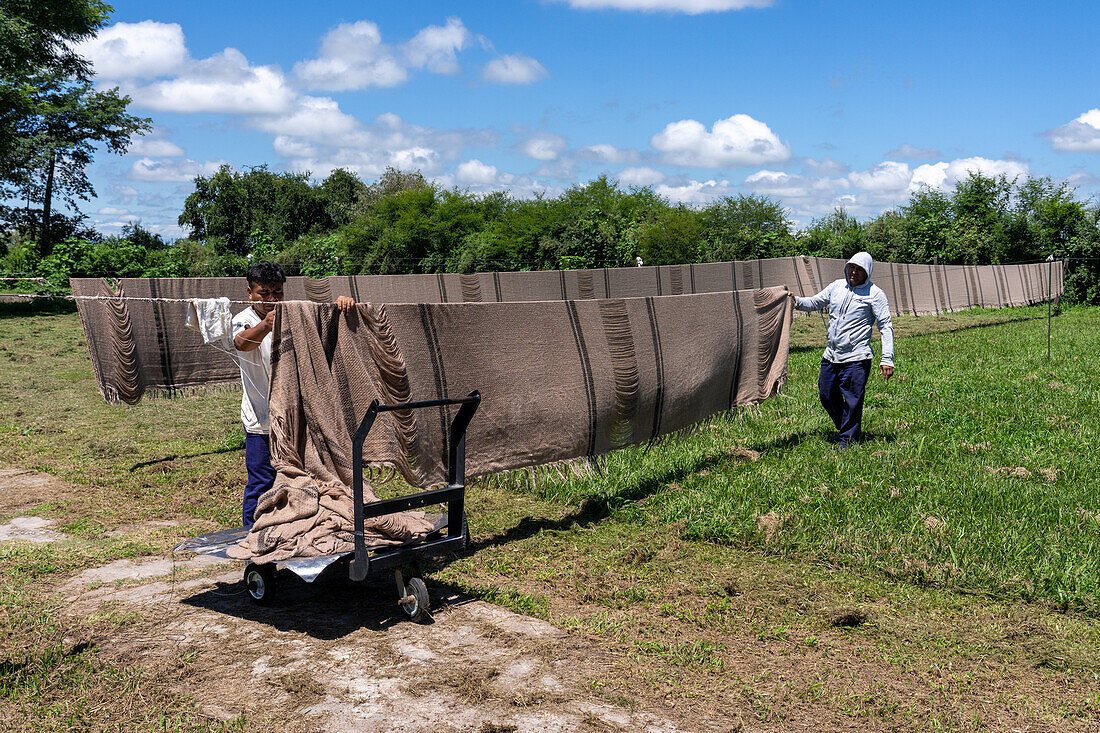 Arbeiter hängen in der Weberei Hilandería Warmi in Palpalá, Argentinien, gewaschene Textilien draußen zum Trocknen auf Leinen auf