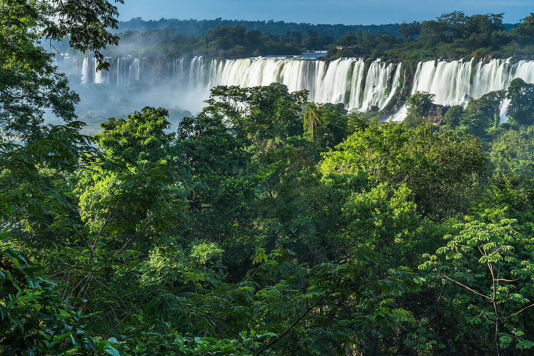 Tropischer Regenwald im Iguazu Falls National Park in Argentinien. Oberhalb der Bäume befinden sich von links nach rechts der Salto Esccondido oder Verborgene Wasserfall, die San-Martin-Fälle und die Mbigua-Fälle. Ein UNESCO-Welterbe