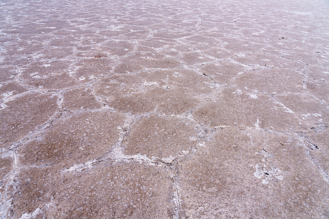 Polygon shapes on the salt flats of Salinas Grandes in northwest Argentina.