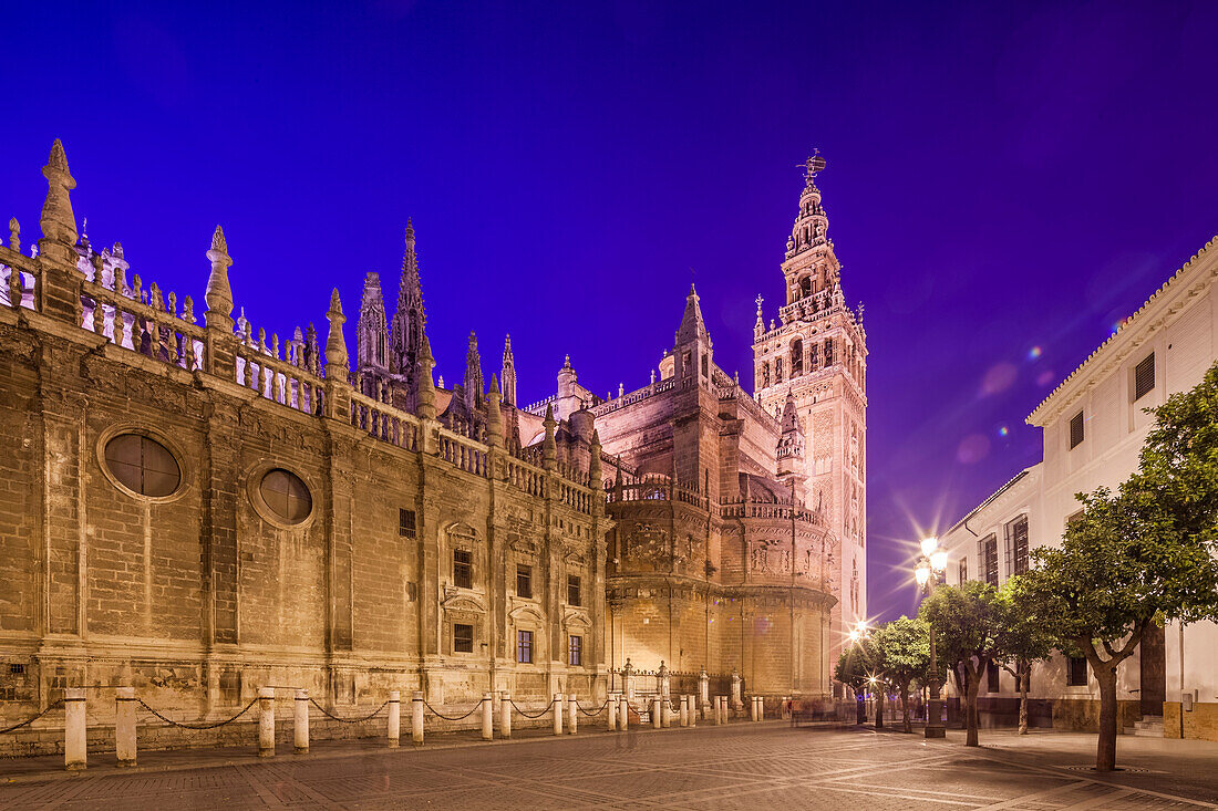 The stunning Seville Cathedral stands majestically under the night sky, showcasing its intricate architecture and history.