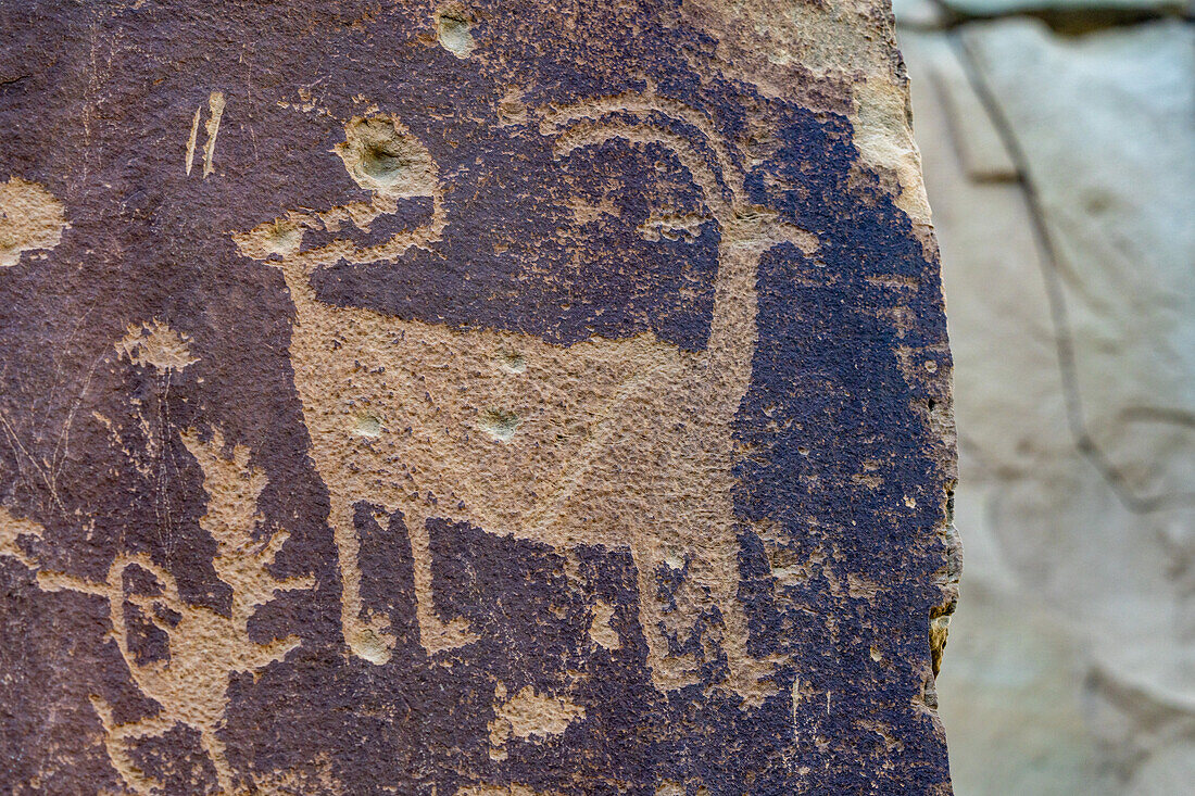 Eine prähispanische indianische Felszeichnung der Fremont-Kultur im Nine Mile Canyon, Utah