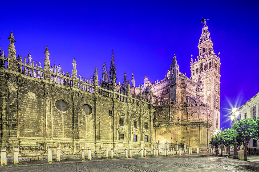 Seville Cathedral glows at twilight, with the elegant Giralda Tower showcasing stunning Andalusian architecture.