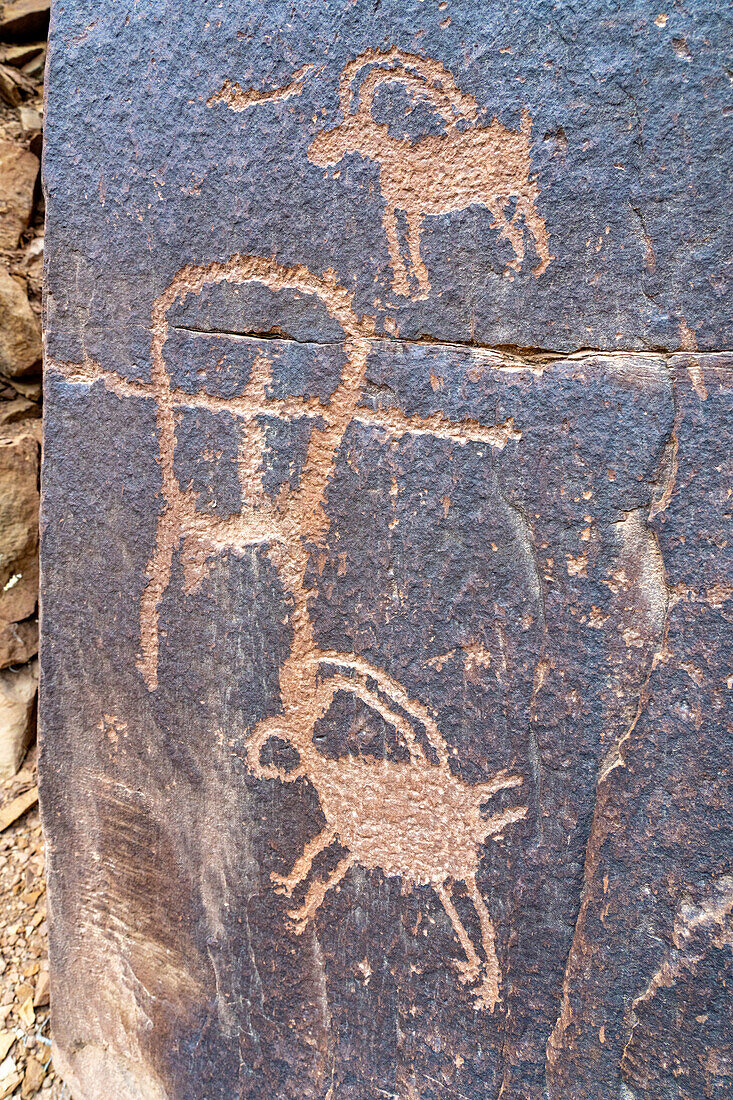 Eine Tafel mit Felszeichnungen oder Petroglyphen der vorspanischen Fremont-Kultur der amerikanischen Ureinwohner im Daddy's Canyon im Nine Mile Canyon, Utah