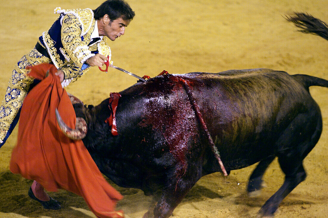 Sevilla, Spanien, 15. August 2008, Fernández Pineda führt einen dramatischen Stierkampf auf der Plaza de Toros in Sevilla vor, der die traditionelle spanische Kultur und Kunstfertigkeit zeigt