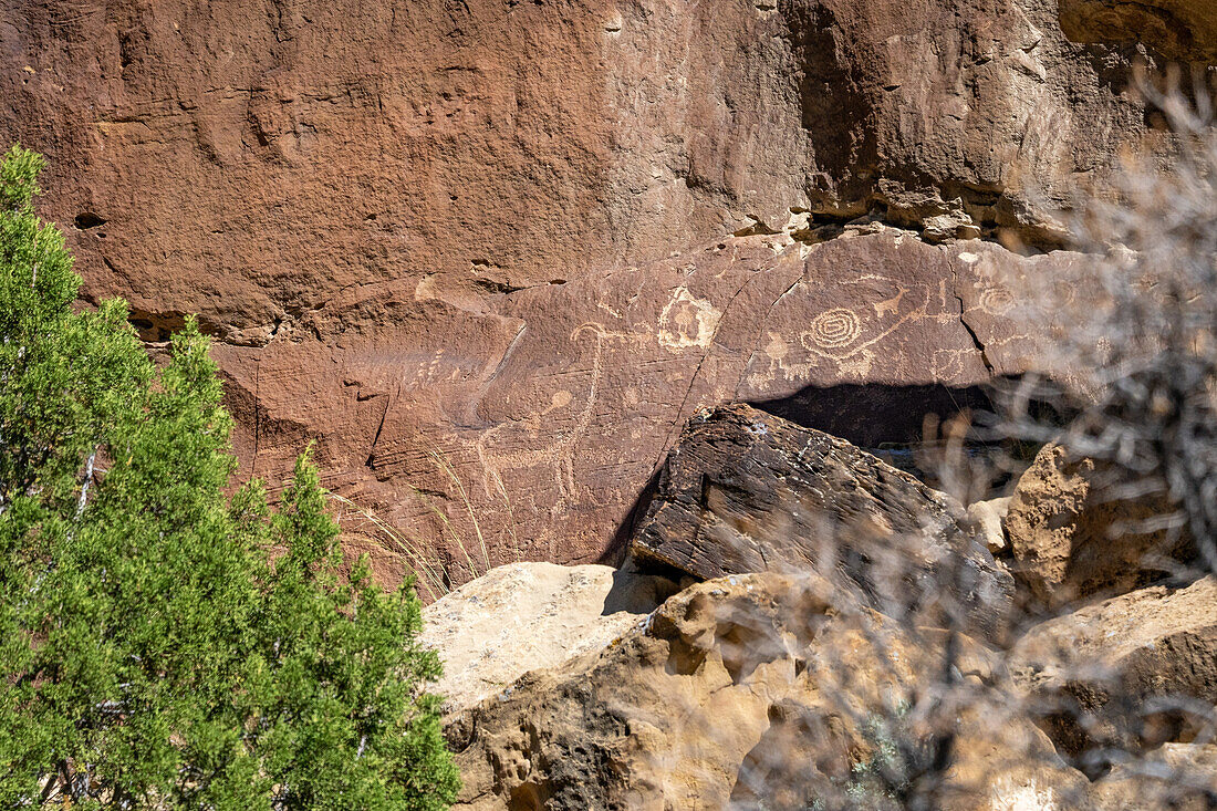 Die Petroglyphentafel des Langhalsschafs, Site 12, im Nine Mile Canyon in Utah. Im Nine Mile Canyon befinden sich Tausende von Felszeichnungen und Petroglyphen aus der prähispanischen Fremont-Kultur der amerikanischen Ureinwohner. Diese Felszeichnungen sind zwischen 800 und 1100 Jahre alt