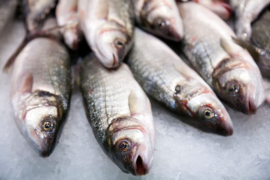 Auf dem berühmten Mercat de la Boqueria in Barcelona liegen verschiedene frische Fischsorten fein säuberlich auf Eis, um lokale Meeresfrüchte zu präsentieren