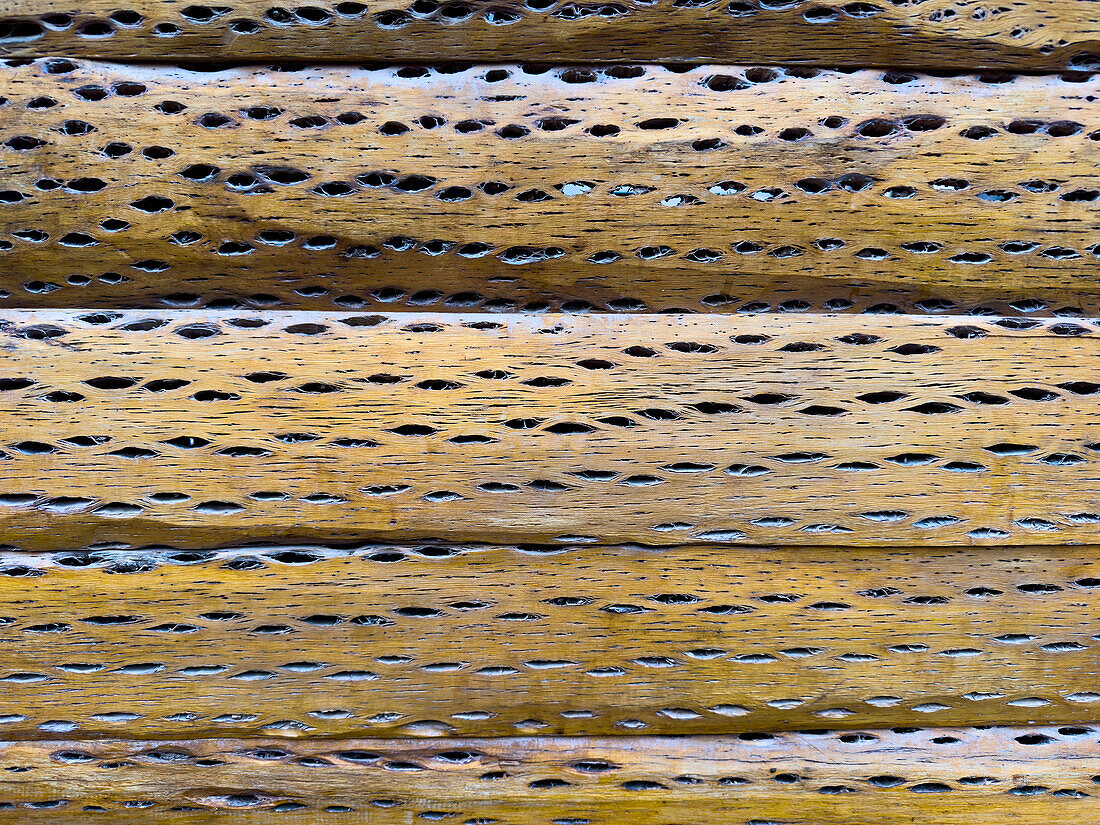 Boards made of cardón or cardon cactus wood on the door of a building in Purmamarca, Argentina. Cactus wood was the most readily-available wood for building in northwest Argentina for centuries.