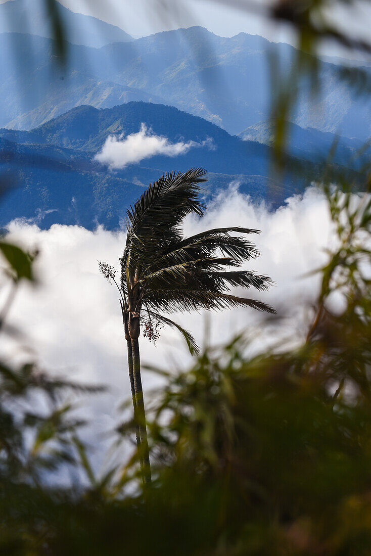 Blick auf den Sonnenaufgang in der Sierra Nevada de Santa Marta, Berge, einschließlich Cerro Kennedy, auch bekannt als "la Cuchillo de San Lorenzo", Kolumbien