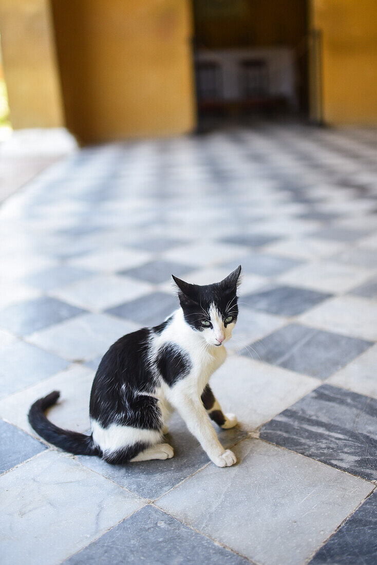 Quinta de San Pedro Alejandrino, where Simon Bolivar spent his last days, Santa Marta, Colombia