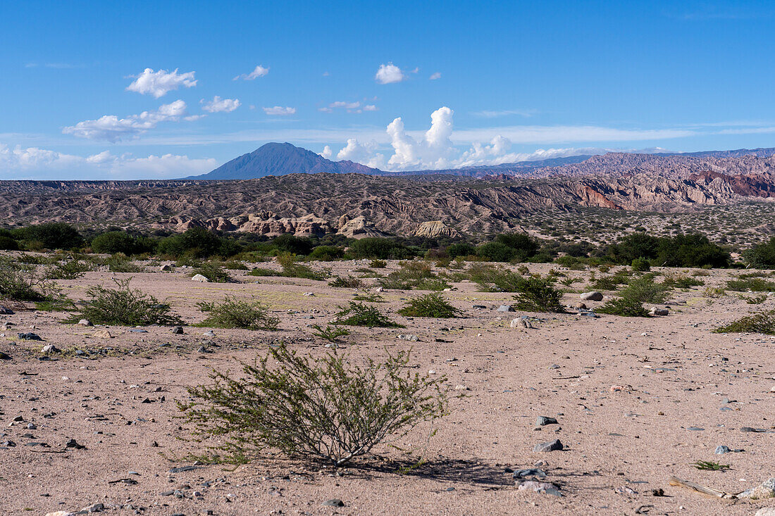 The eroded landscape of the Calchaqui Valley in Salta Province, Argentina.