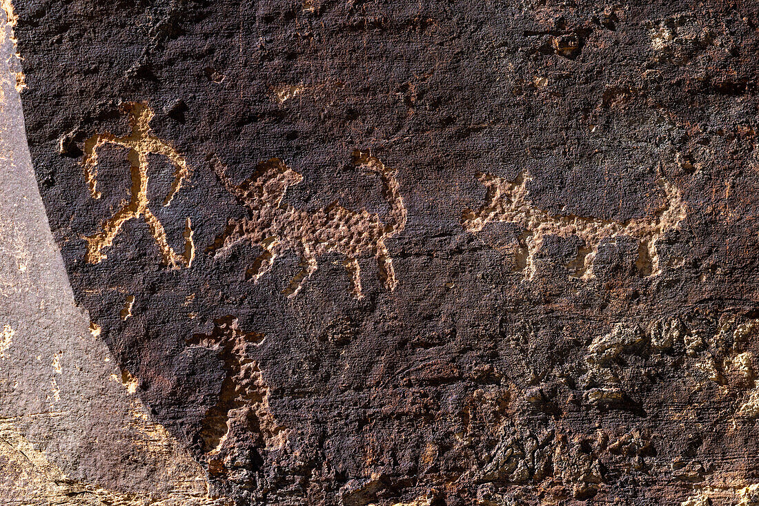 Two human figures with dogs on a pre-Hispanic Fremont Amerindian rock art panel in Nine Mile Canyon, Utah.