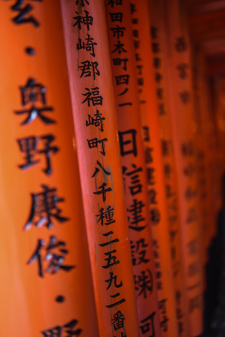 Erkundung des Fushimi Inari Taisha-Tempels bei Nacht, Kyoto, Japan