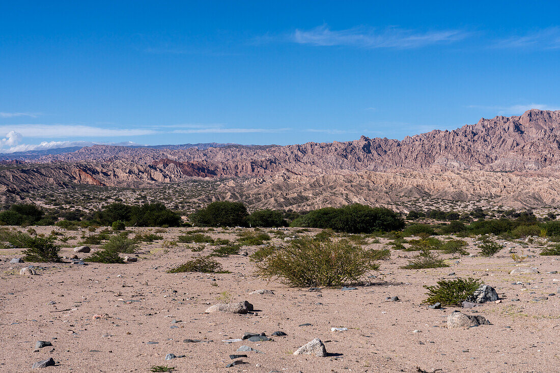 The eroded landscape of the Calchaqui Valley in Salta Province, Argentina.