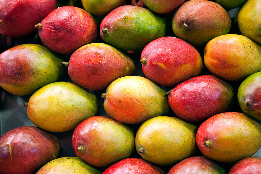 Colorful ripe mangos are displayed at Mercat de la Boqueria, attracting shoppers with their vibrant hues and fresh aroma.