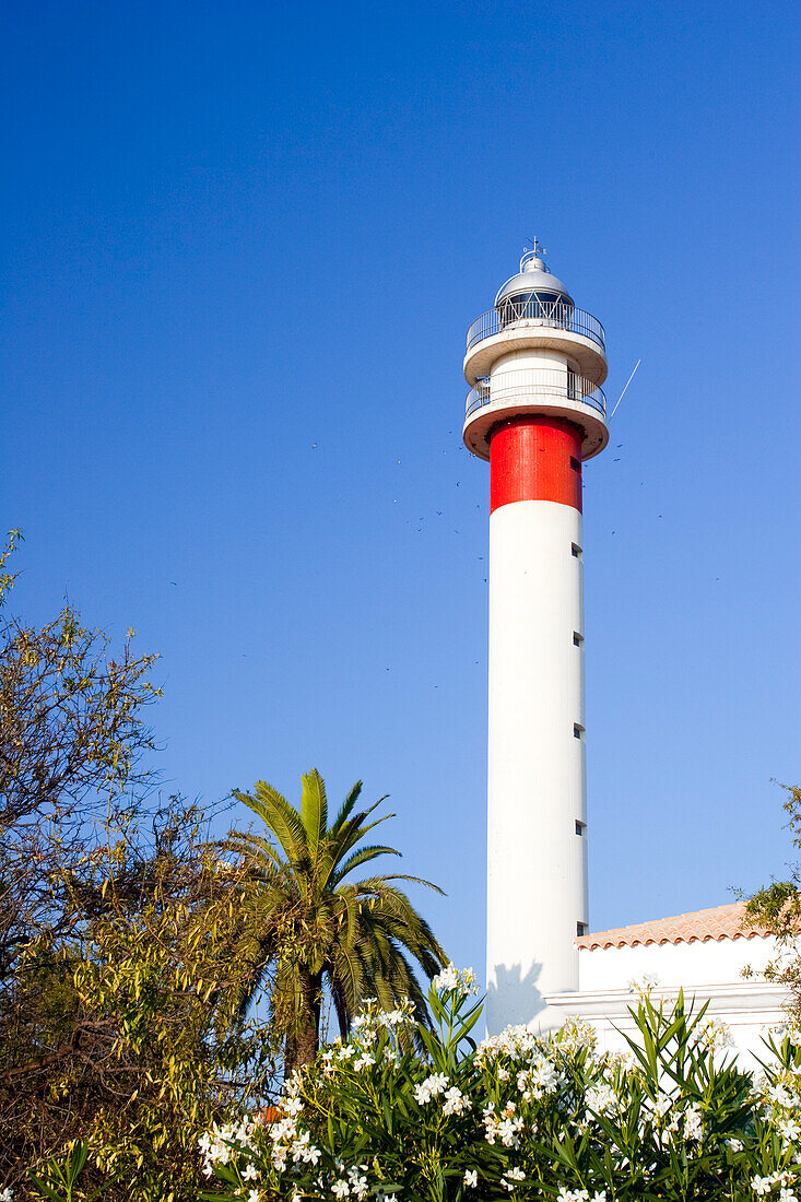 The Faro de El Rompido stands tall amidst lush greenery and a clear blue sky, showcasing its vibrant colors and historical significance.