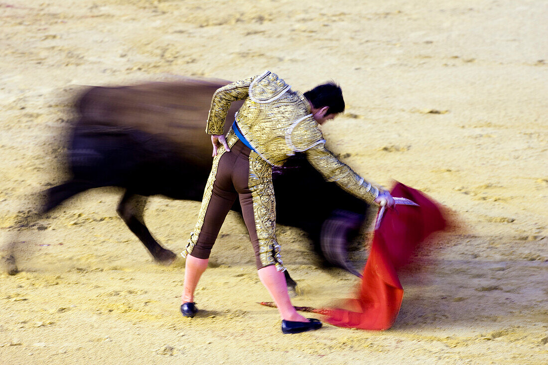 Seville, Spain, Aug 15 2008, Luis de Pauloba skillfully executes a right-handed pass during a bullfight in the Real Maestranza, demonstrating elegance and control.