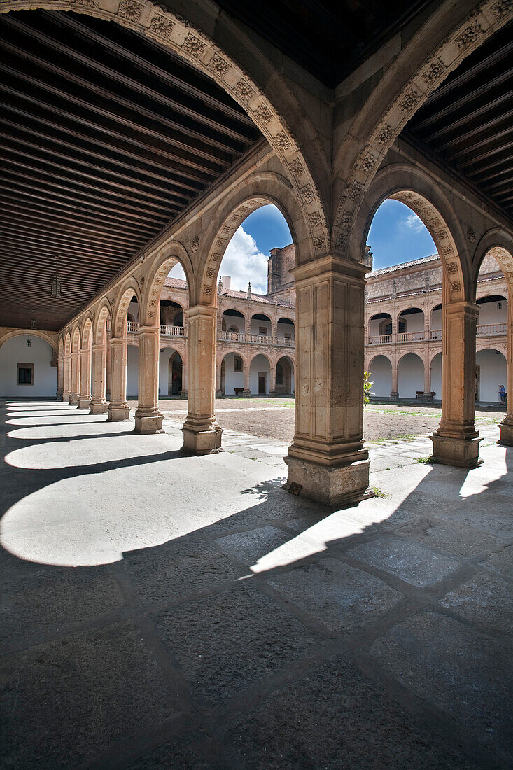 Salamanca, Spanien, 17. August 2008, Besucher bewundern die atemberaubende Architektur des Kreuzgangs des Colegio Arzobispo Fonseca in Salamanca, der die reiche Geschichte der Stadt widerspiegelt