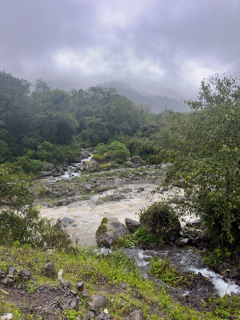 Los Sosa River in the yungas sub-tropical rainforest on a rainy day in Los Sosa Canyon Natural Reserve in Argentina.