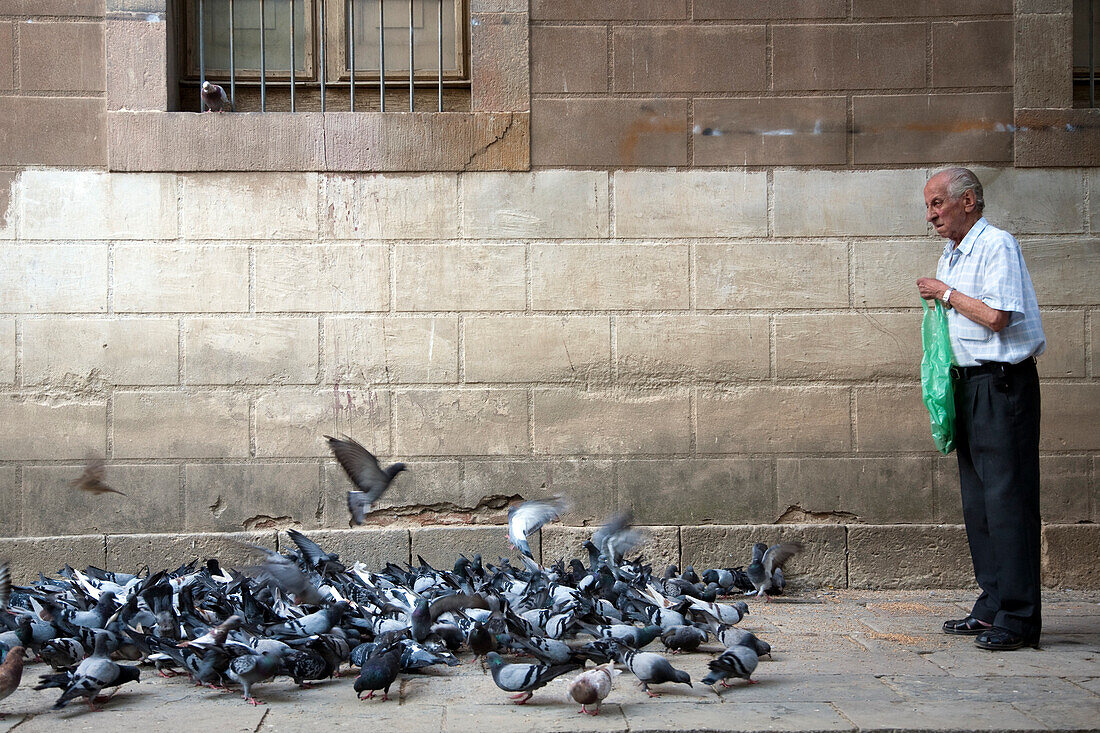 Barcelona, Spain, Sept 4 2008, An elderly man gently scatters food for pigeons in the tranquil courtyard of Biblioteca de Catalunya in Barcelona.