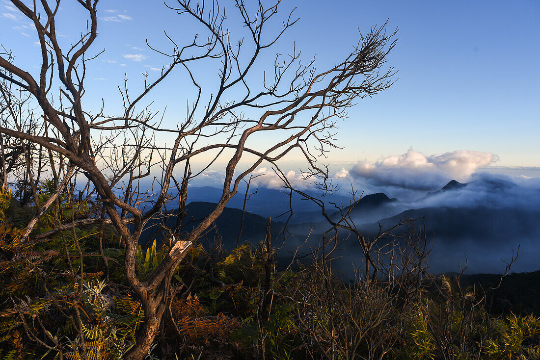 Blick auf den Sonnenaufgang in der Sierra Nevada de Santa Marta, Berge, einschließlich Cerro Kennedy, auch bekannt als "la Cuchillo de San Lorenzo", Kolumbien