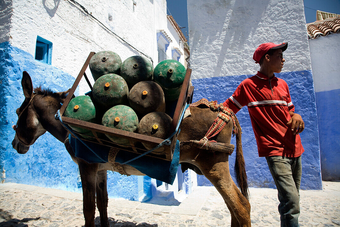 Chefchaouen, Morocco, July 3 2007, A young boy delivers gas canisters on a donkey through the vibrant streets of Chefchaouen’s old town.