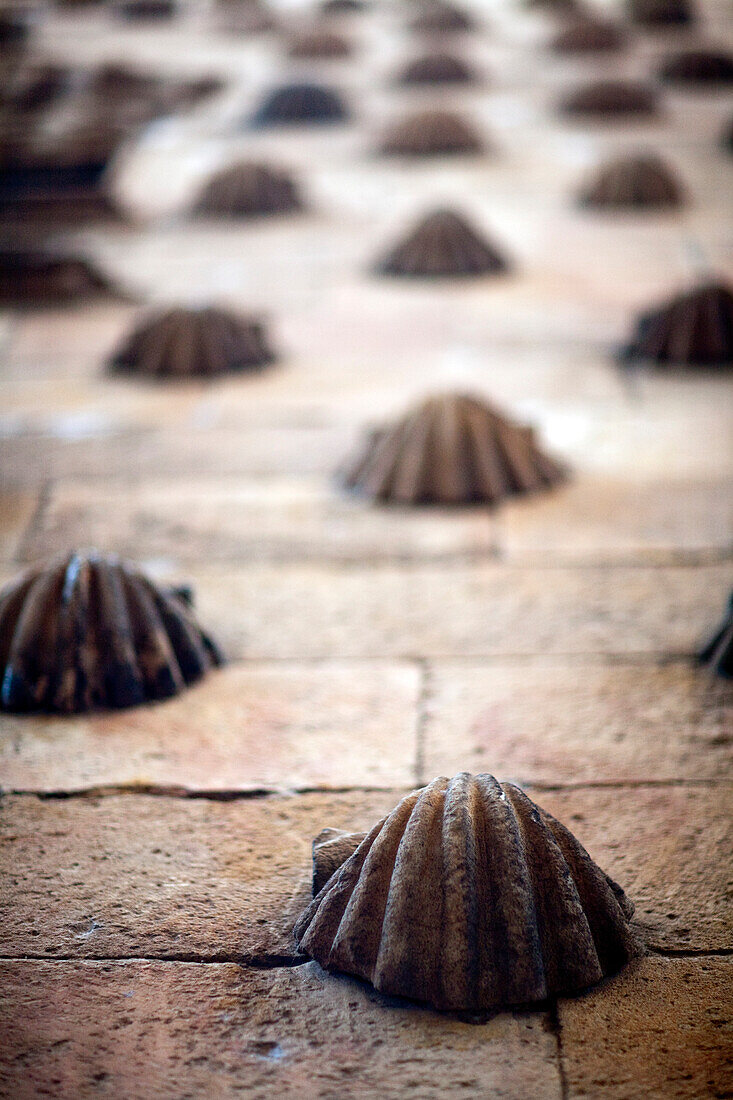 Die einzigartigen Muschelmotive an der Fassade der Casa de las Conchas bilden ein faszinierendes architektonisches Muster in Salamanca