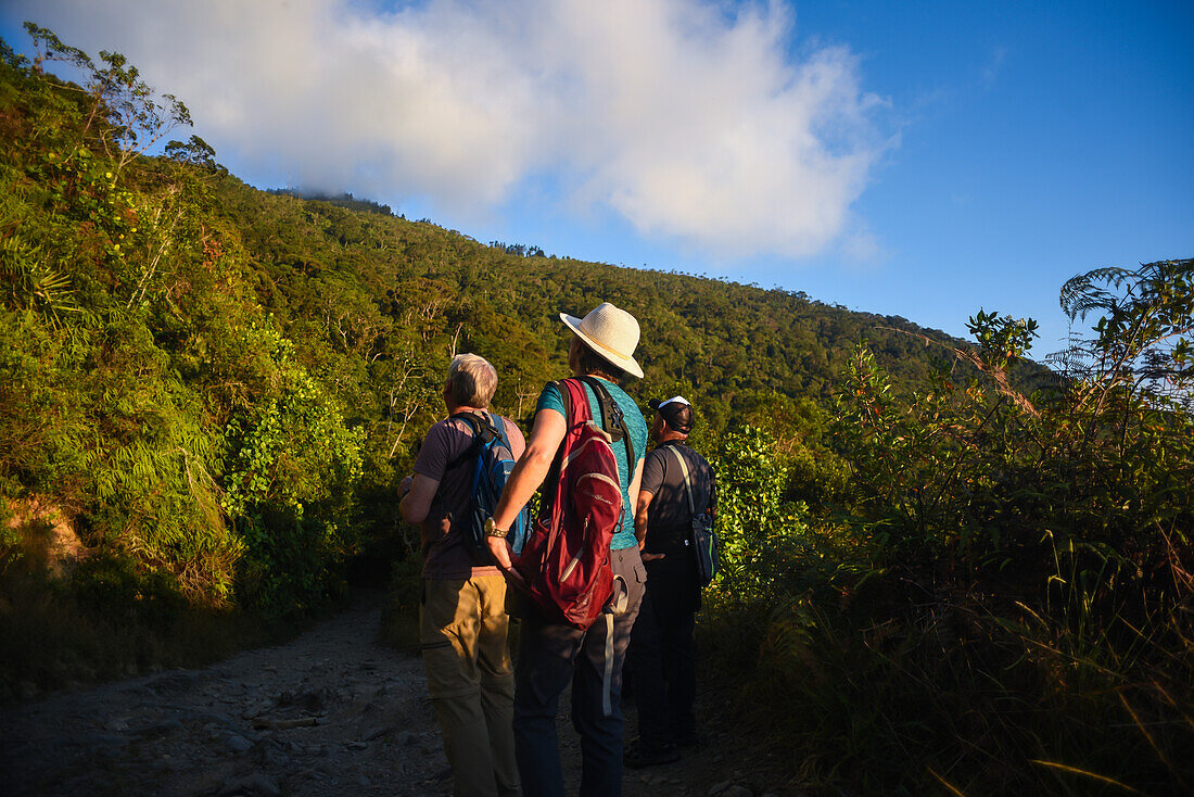 Group of birdwatchers looking for species in Sierra Nevada de Santa Marta with Colombia Photo Expeditions, Colombia