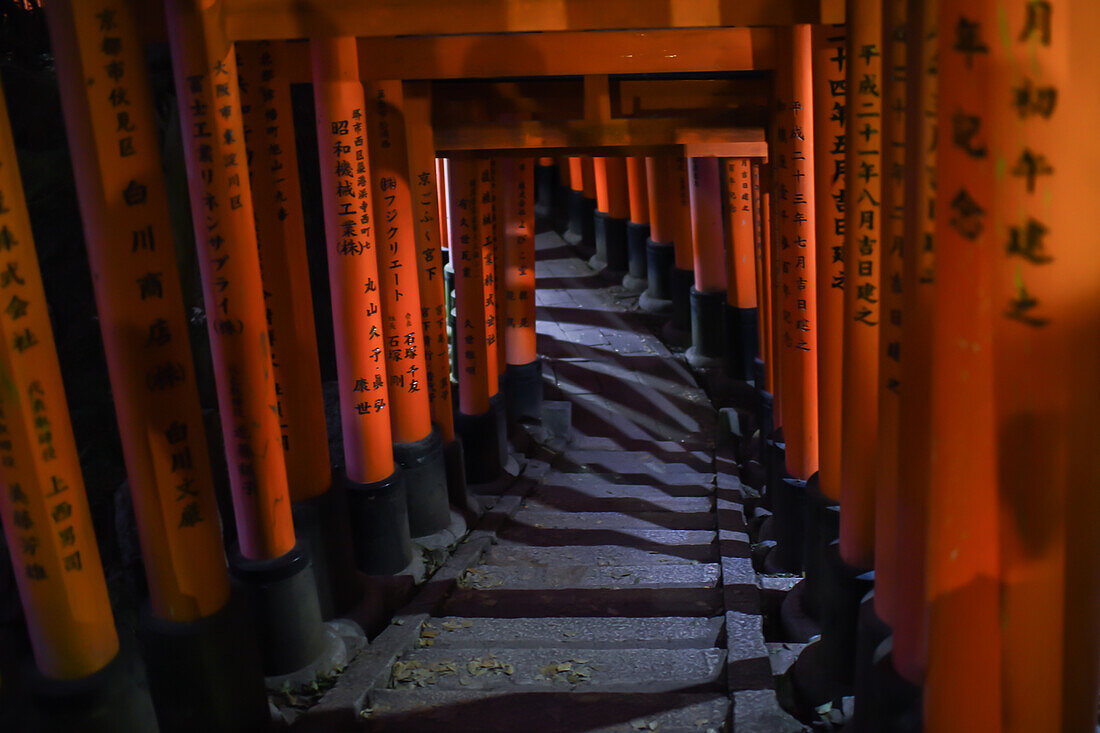 Erkundung des Fushimi Inari Taisha-Tempels bei Nacht, Kyoto, Japan