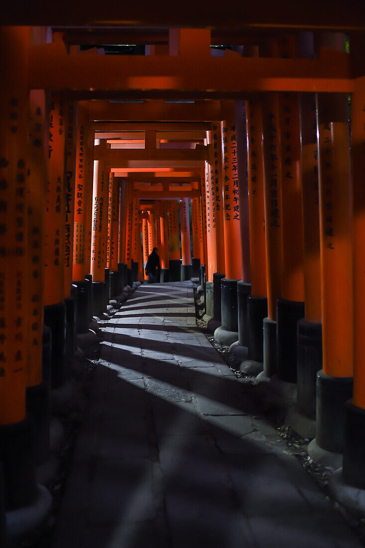 Exploring Fushimi Inari Taisha temple at night, Kyoto, Japan