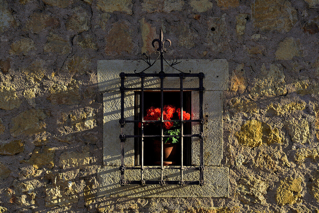 Window with grill and red flowers in the medieval town of Pedraza.