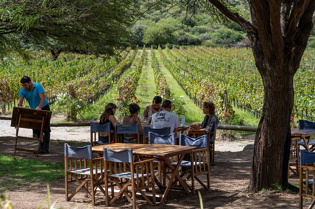 Besucher beim Mittagessen in der Bodega und Finca las Nubes, einem Weingut und Weinberg in der Nähe von Cafayate, Argentinien