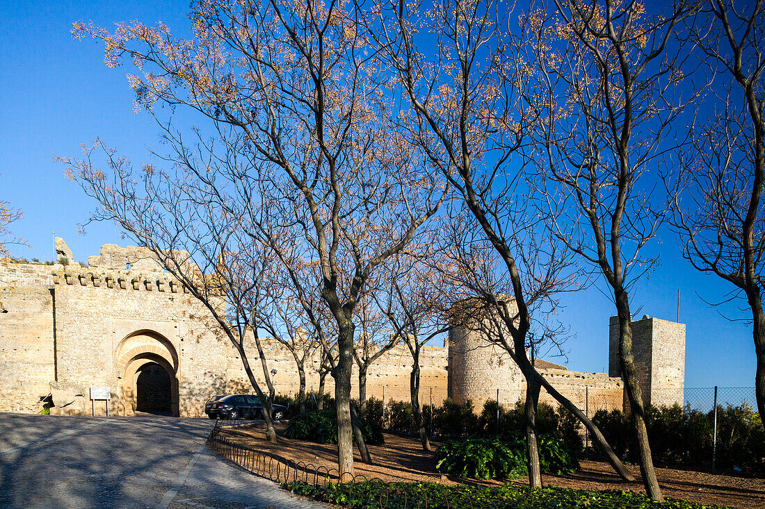 Discover the stunning architecture of the former Moorish Alcazar in Carmona, surrounded by beautiful spring trees and clear skies.