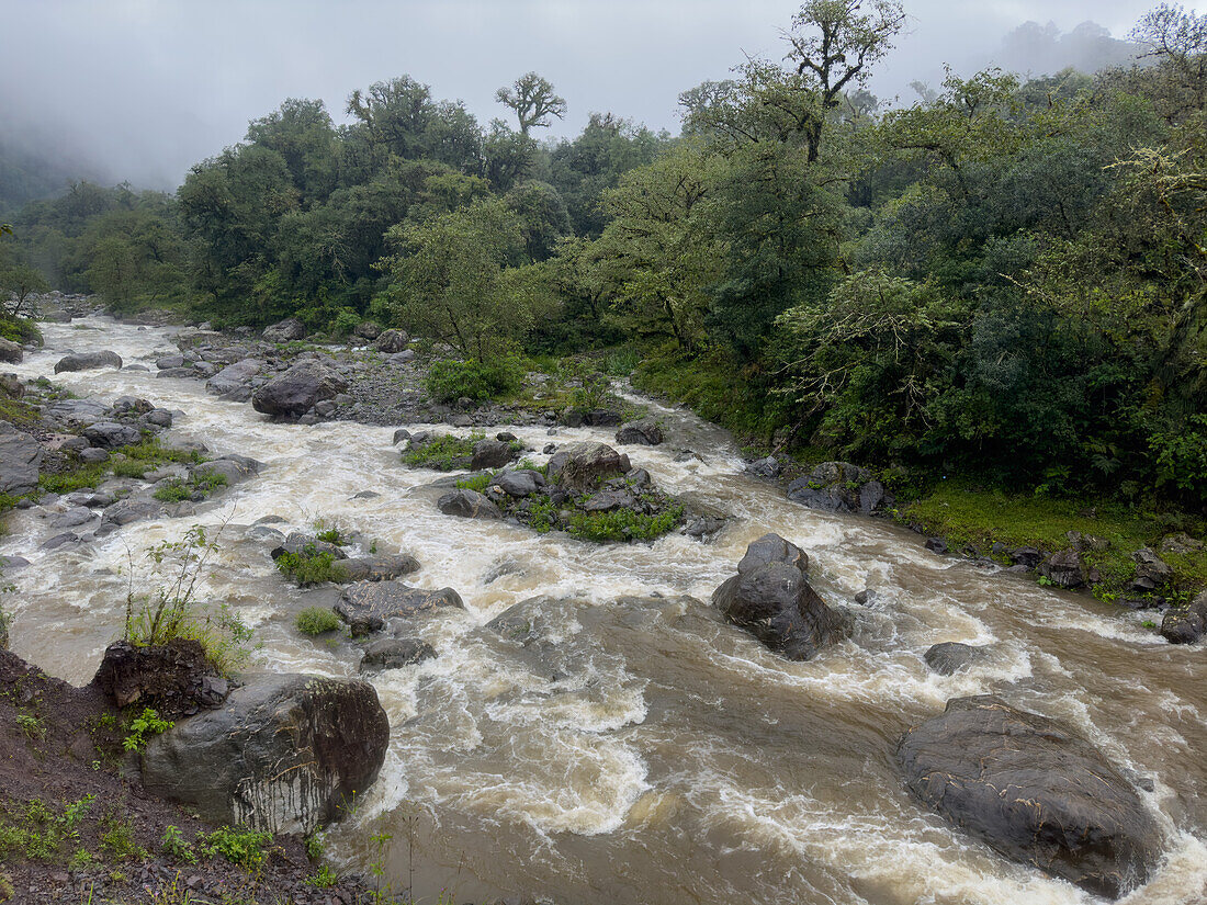 Los Sosa River in the yungas sub-tropical rainforest on a rainy day in Los Sosa Canyon Natural Reserve in Argentina.