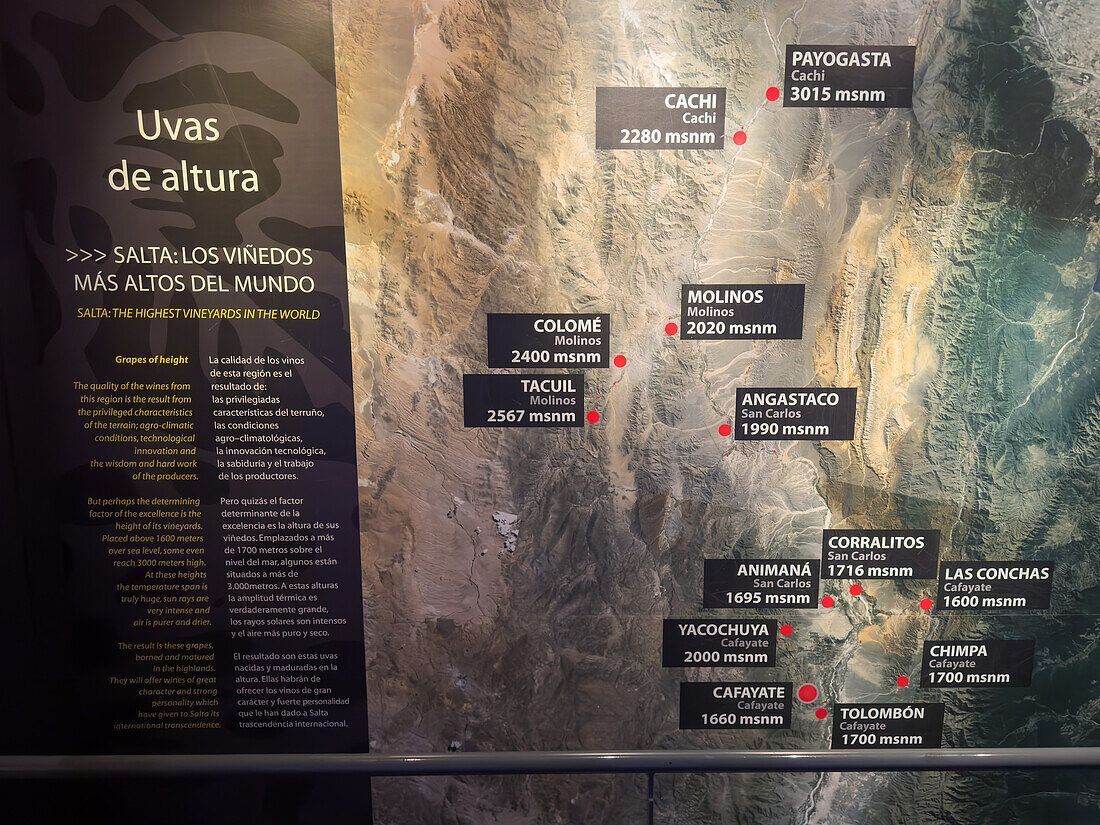 A map showing high-altitude vineyards in the Museo de la Vid y el Vino or Museum of the Vine and the Wine in Cafayate, Argentina. The Calchaqui Valleys are the highest wine producing vineyards in the world.