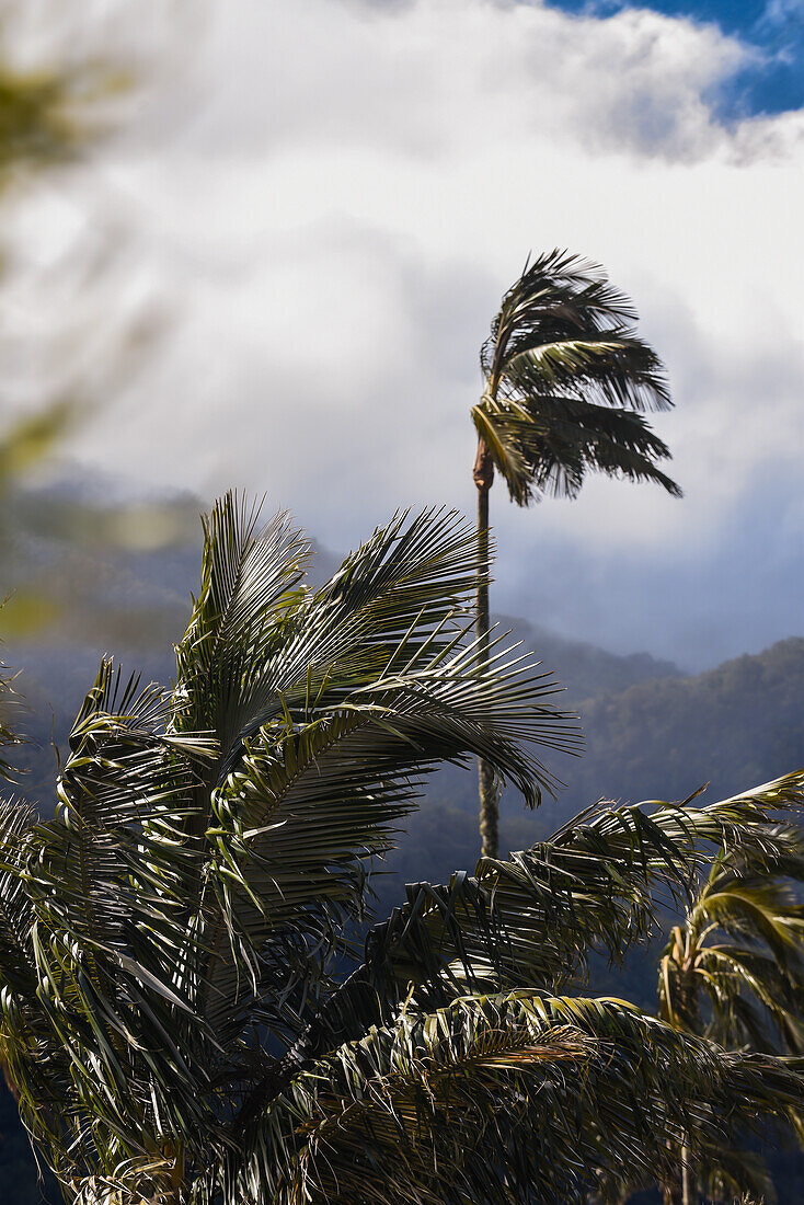 Blick bei Sonnenaufgang auf die Sierra Nevada de Santa Marta, Berge, einschließlich Cerro Kennedy, auch bekannt als "la Cuchillo de San Lorenzo", Kolumbien