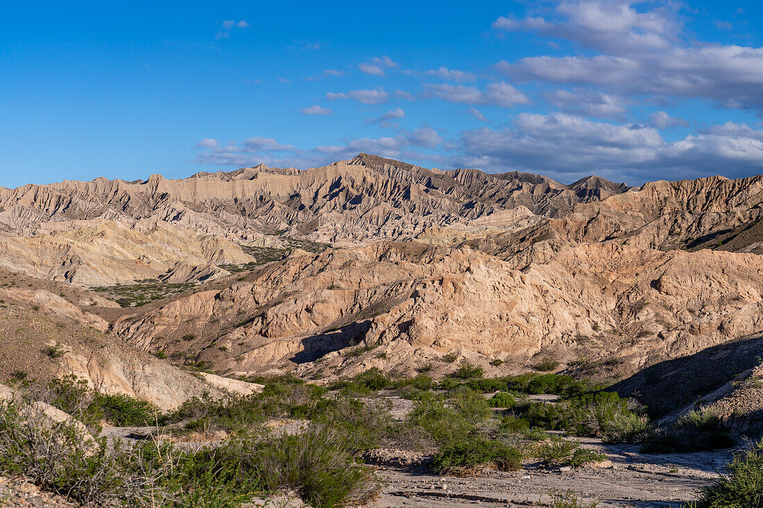 Die fantastische erodierte Landschaft des Naturmonuments Angastaco im Calchaqui-Tal in der Provinz Salta, Argentinien