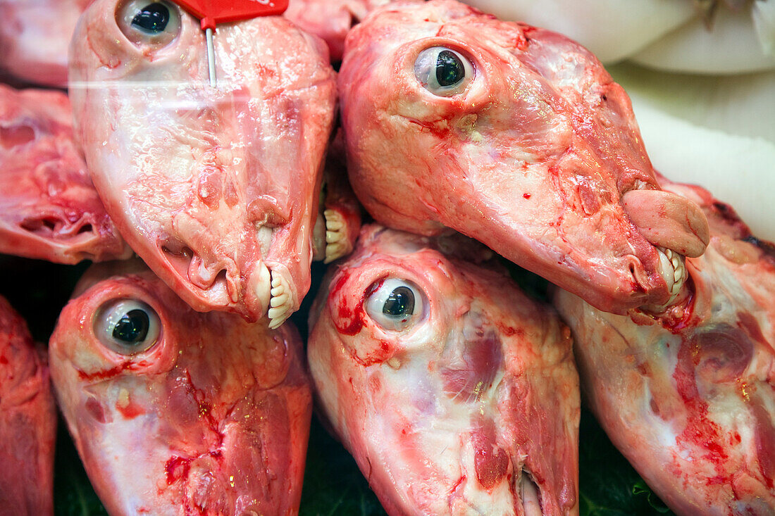 Fresh sheep heads are prominently displayed in a stall at Mercat de la Boqueria, showcasing local culinary traditions of Barcelona.