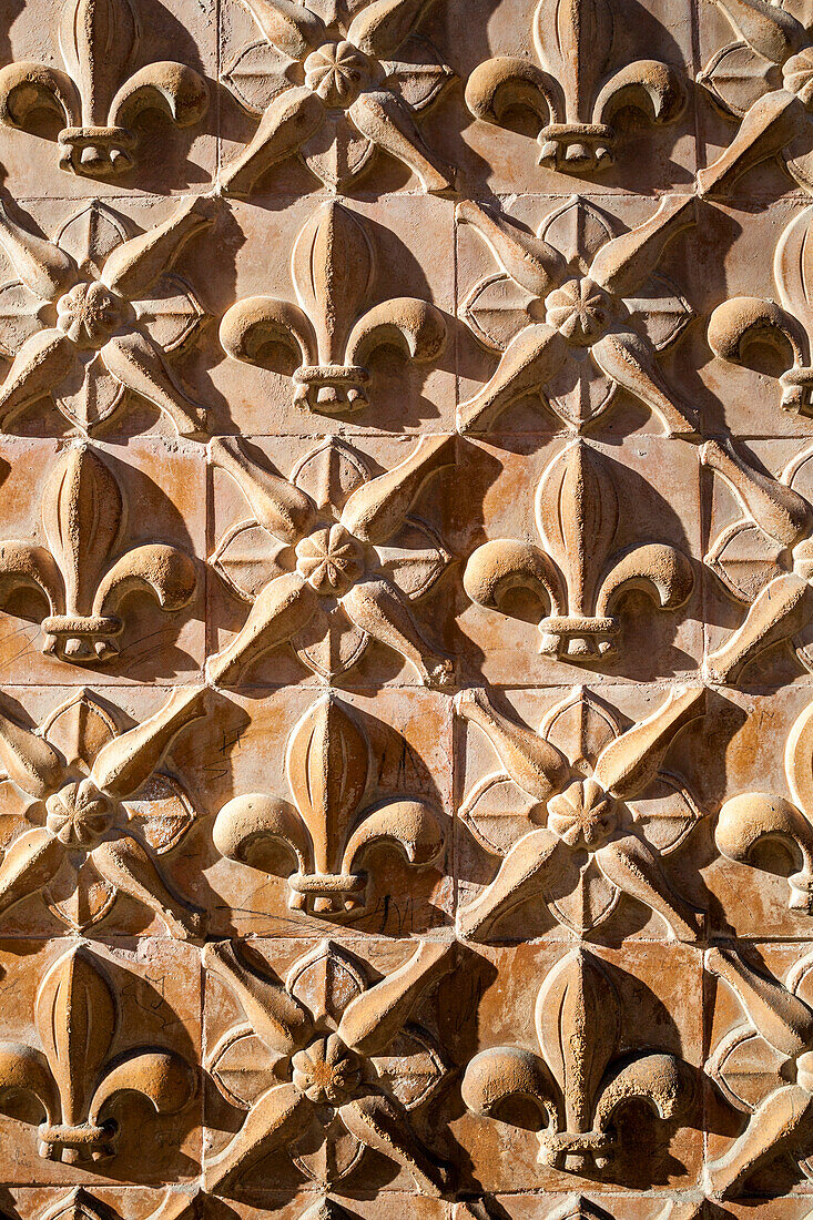 Decorative fleur de lis motifs adorn a whitewashed wall in the historic town of Carmona, reflecting Mediterranean architectural style.